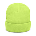 Embroidered Blue Lion Ribbed Beanie — Warm Knit Hat for Men & Women